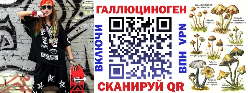 Галлюциногенные грибы Psilocybe Чернушка
